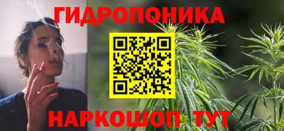 гашик Татарск