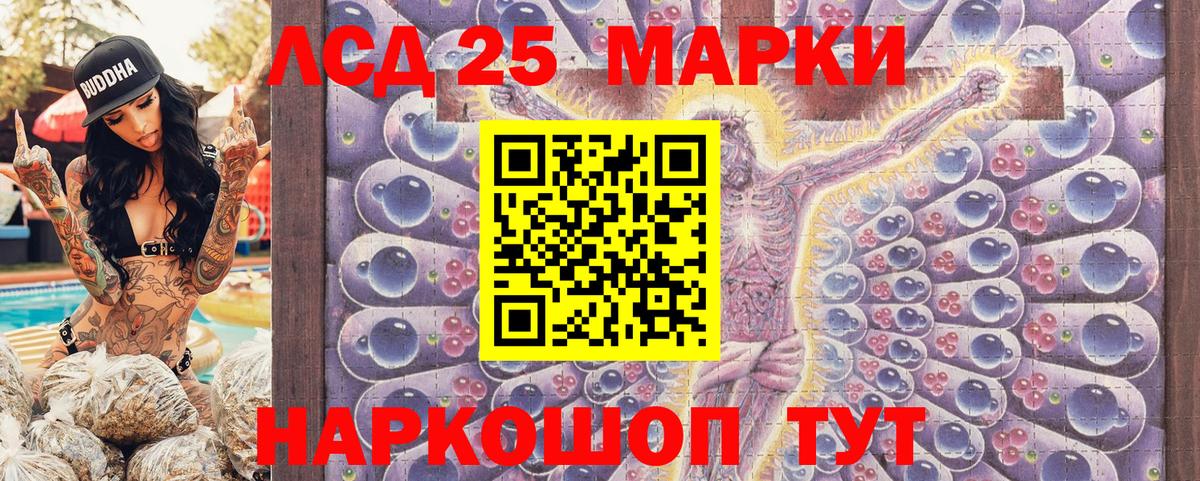 купить наркоту  Наркотические марки 1,8мг  Вход с VPN  Прохладный  Наркотические марки 1,8мг 
