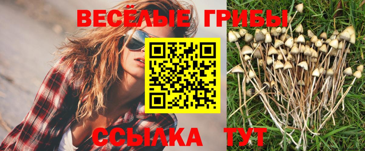 Псилоцибиновые грибы MAGIC MUSHROOMS Прохладный