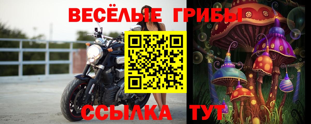 Псилоцибиновые грибы мицелий  Галлюциногенные грибы Psilocybe  Прохладный  Вход с VPN 